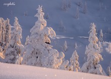 Wintermärchen