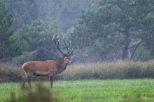 Dem schlechtesten Wetter die Stirn bieten,