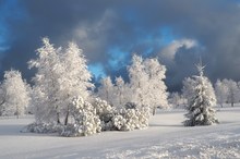 Winterlandschaft  an der Schwarzwaldhochstraße