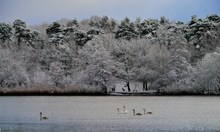 Winterlandschaft am Wannsee