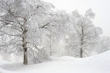 Jetzt hat es nochmal kräftig geschneit