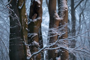 Winterfreuden