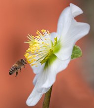 Frühlingsfarben