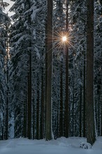 Winterlicht