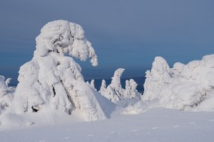 Die Fabelwesen