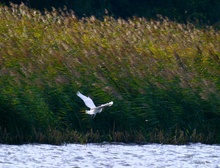 Landeanflug im Sturm