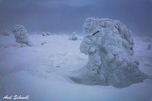 Geheimnisvolles Schneeporträt