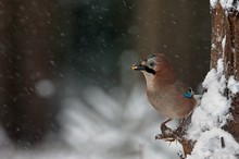 Für mich ist noch Winter