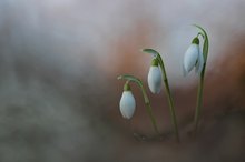 Frühling in Sicht