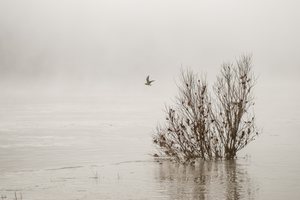 Hochwasser