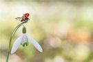 oooooh wie leicht fühlt sich der Frühling an