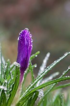 nach dem Regen