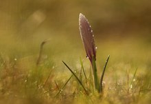 Sonne zwischen zwei Regenschauern