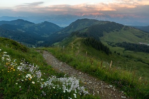 Sommer am Riedberger Horn