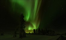 °°° Aurora Borealis VI °°°