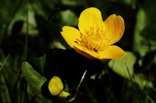 Licht und Schatten