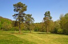 Frühling