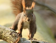 Hier bin ich.. nimm mich ganz groß auf!