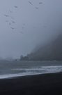 Sturm