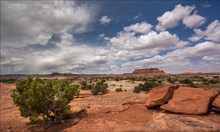 °°° Canyonlands °°°