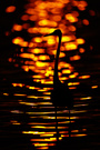 Silhouette