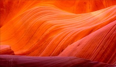°°° the wave °°°