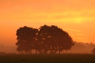 Morgens am Niederrhein