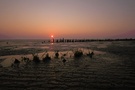 Abends im Watt