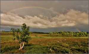 Unterm Regenbogen