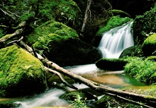 Lohnbachfall