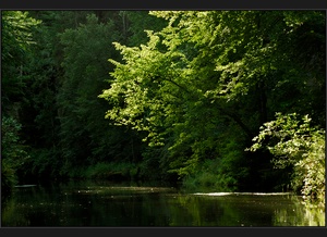 Auf der Kamnitz