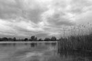 Tankumsee