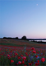 Mond & Mohn