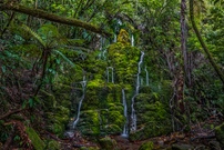 Der Waldgott