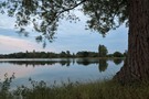 Abendstimmung (weniger Stamm)