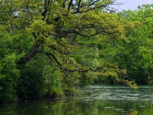 Auenlandschaft