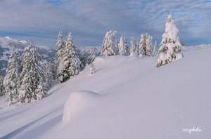 Abkühlung gefällig?