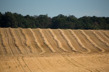 La Dune du BW