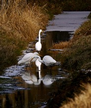 Winterbild zur Abkühlung