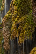 °°° Natur - Dusche °°°