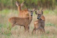 "...Familienrückblick..."