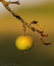 Zum Glück war Eva nicht da...