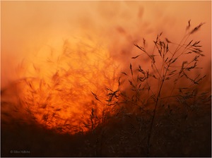 Sonnensturm