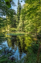 Spätsommer am Weißen Main