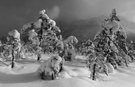 Kontraste im Winterkleid