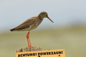 ACHTUNG! POWERZAUN!