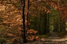 Herbst berührt Sommer - ein Experiment