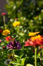 die letzte Sommersonne genießen