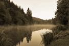 Dunstschwaden in Tristesse
