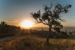 Sonnenaufgang